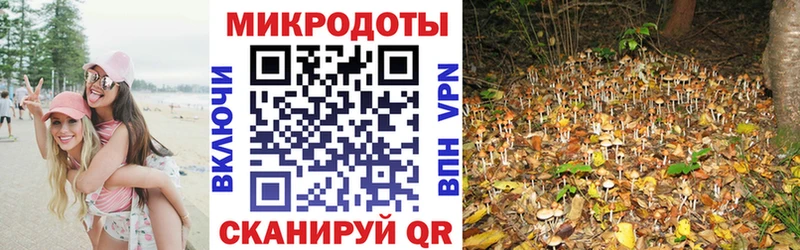 наркошоп  Райчихинск  Галлюциногенные грибы Psilocybe 